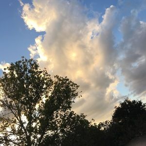 Meet your Posher, Yandiel